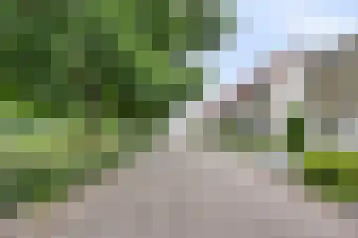 Hegdambroek 2552 Nijmegen thumbnail 25