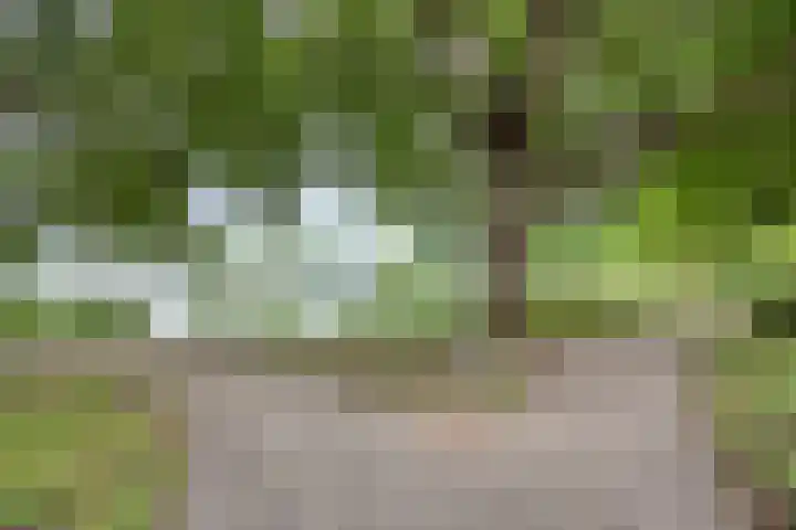 Hegdambroek 2552 Nijmegen thumbnail 26