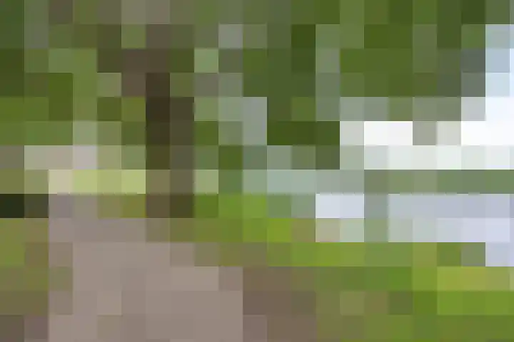 Hegdambroek 2552 Nijmegen thumbnail 27