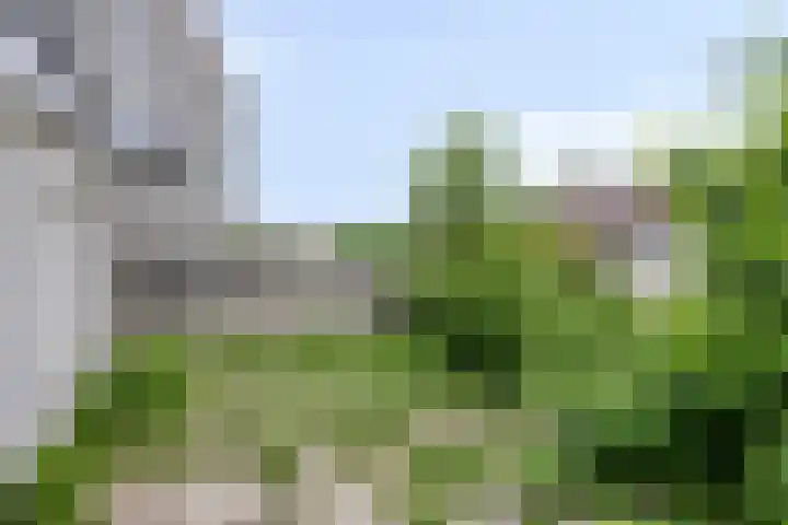 Hegdambroek 2552 Nijmegen thumbnail 28