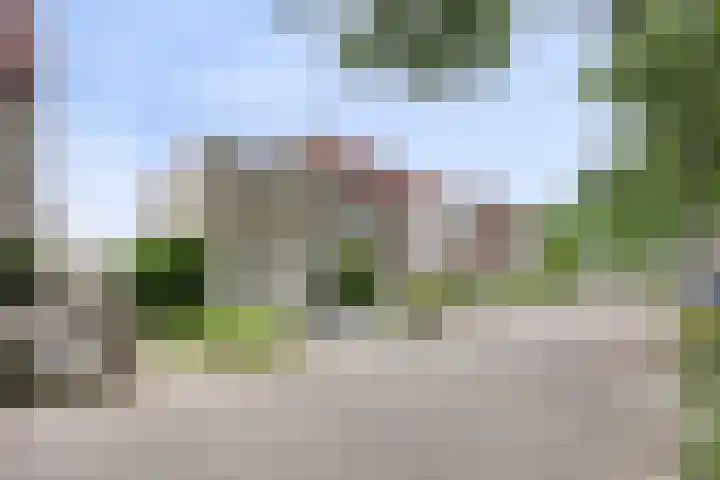 Hegdambroek 2552 Nijmegen thumbnail 29