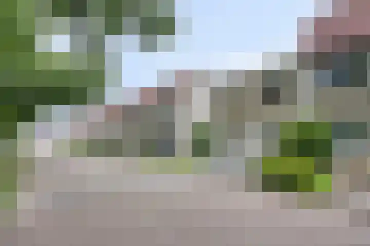 Hegdambroek 2552 Nijmegen thumbnail 30