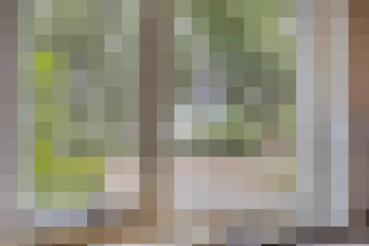 Hegdambroek 2552 Nijmegen thumbnail 6