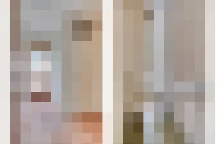 Hegdambroek 2552 Nijmegen thumbnail 9