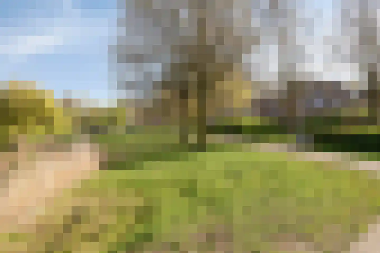 Hegdambroek 2580 Nijmegen thumbnail 31