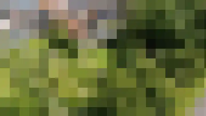 Hege Buorren 21 Minnertsga