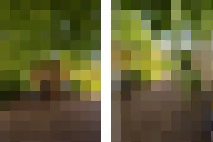 Hege Buorren 21 Minnertsga thumbnail 11