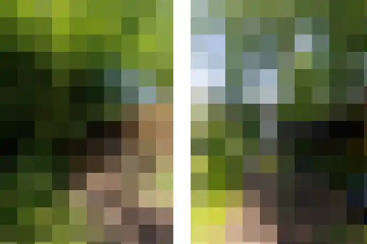 Hege Buorren 21 Minnertsga thumbnail 13