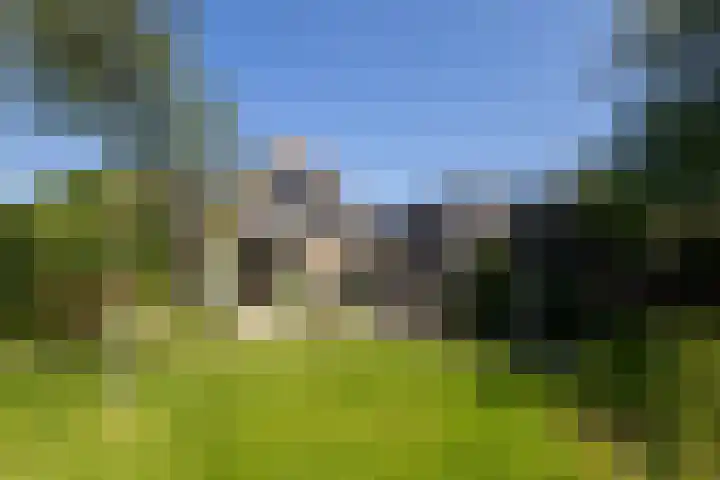 Hege Buorren 21 Minnertsga thumbnail 15