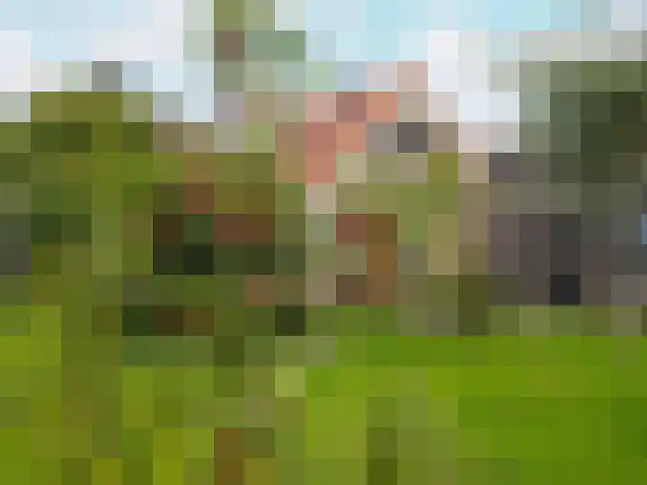 Hege Buorren 21 Minnertsga thumbnail 17