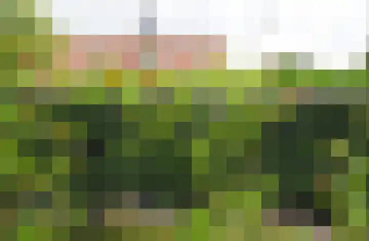 Hege Buorren 21 Minnertsga thumbnail 18