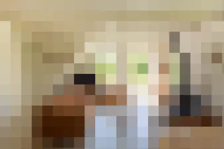 Hege Buorren 21 Minnertsga thumbnail 19