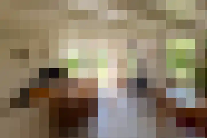 Hege Buorren 21 Minnertsga thumbnail 20