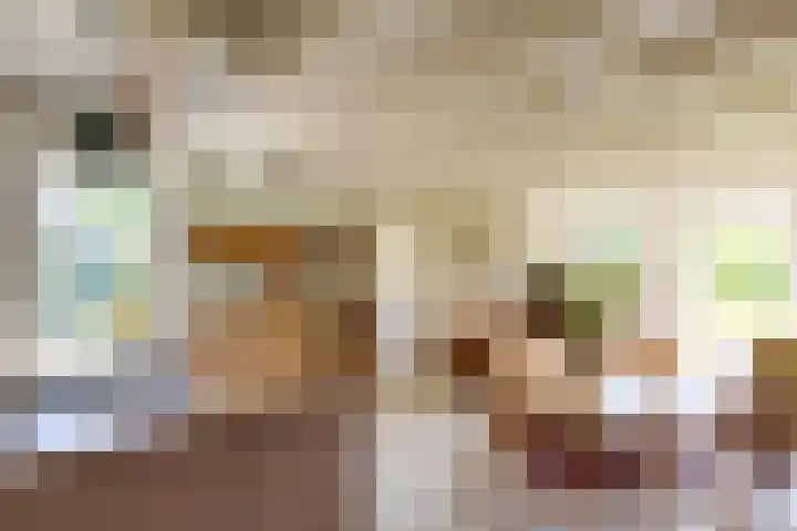 Hege Buorren 21 Minnertsga thumbnail 22