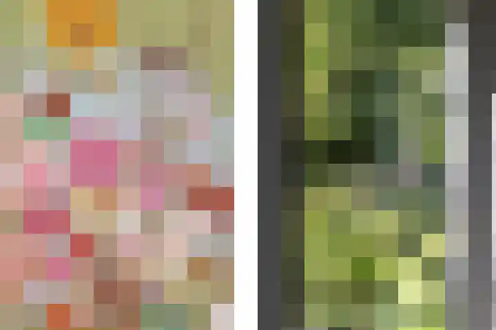 Hege Buorren 21 Minnertsga thumbnail 23
