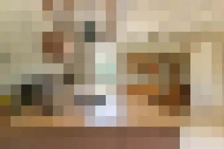 Hege Buorren 21 Minnertsga thumbnail 24