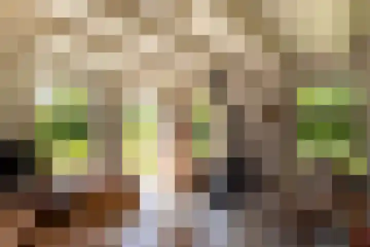 Hege Buorren 21 Minnertsga foto 3