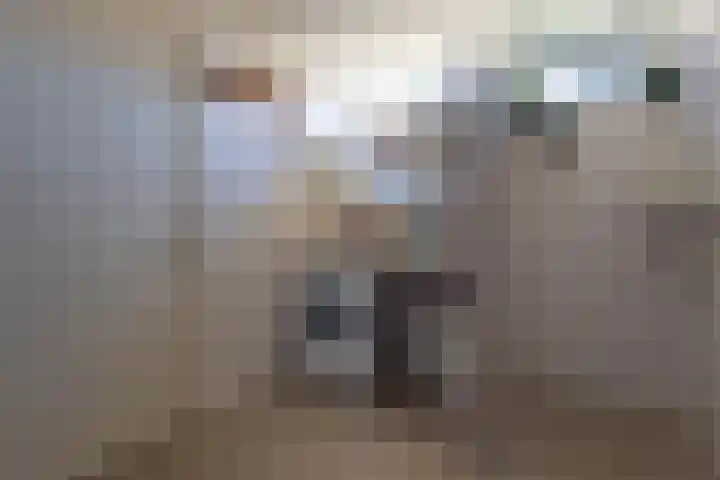 Hege Buorren 21 Minnertsga thumbnail 35