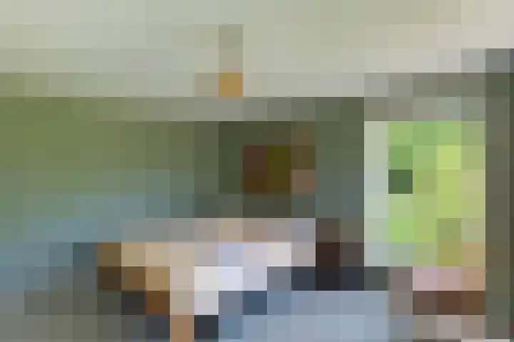 Hege Buorren 21 Minnertsga thumbnail 37