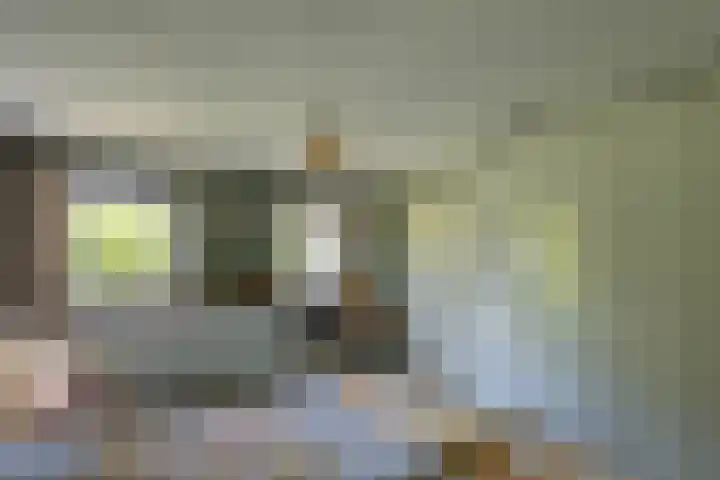 Hege Buorren 21 Minnertsga thumbnail 39