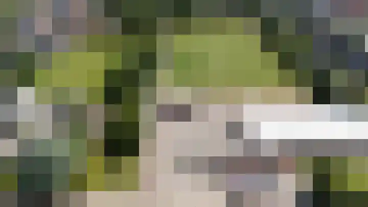 Hege Buorren 21 Minnertsga thumbnail 4