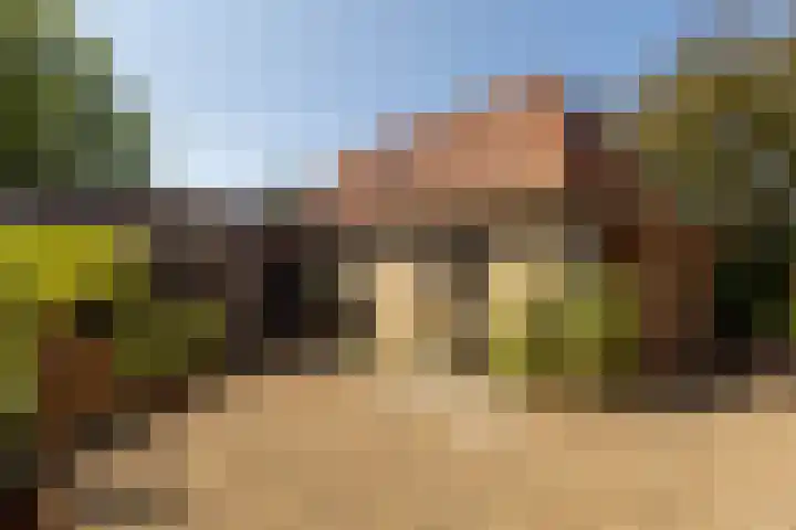 Hege Buorren 21 Minnertsga thumbnail 44