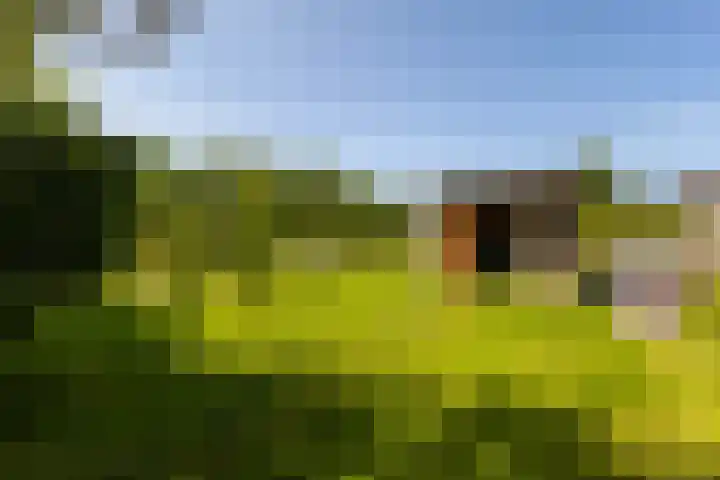 Hege Buorren 21 Minnertsga thumbnail 45