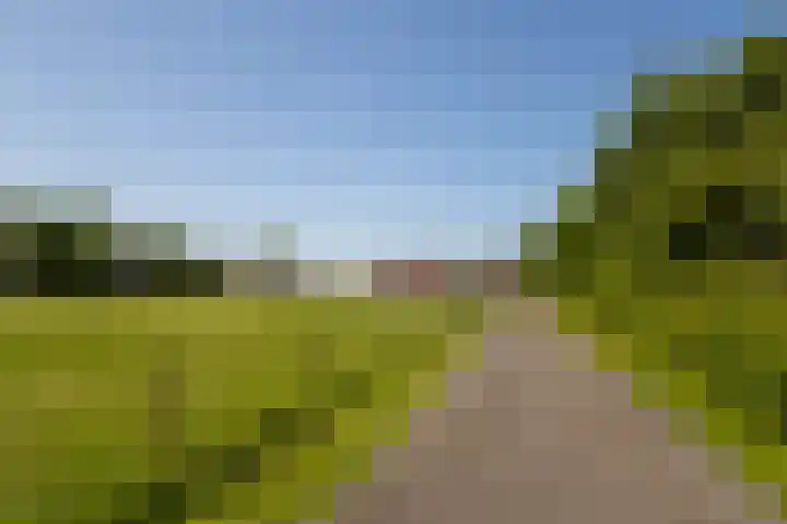 Hege Buorren 21 Minnertsga thumbnail 5