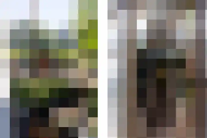 Hege Buorren 21 Minnertsga thumbnail 50