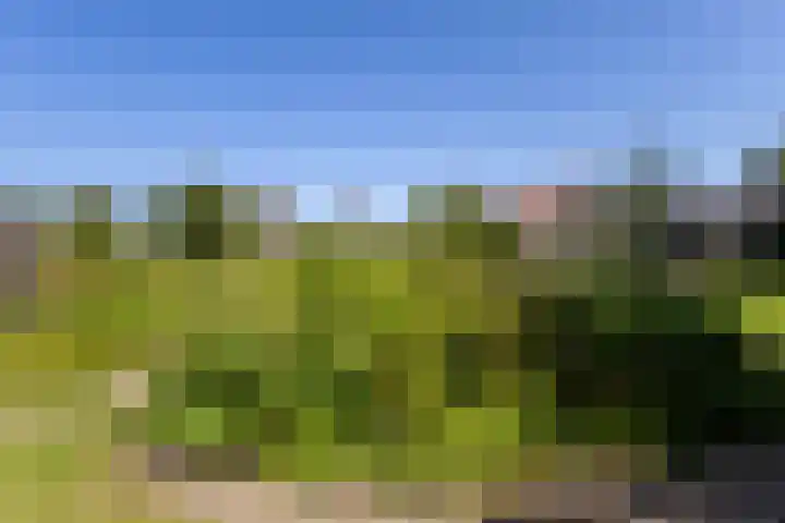 Hege Buorren 21 Minnertsga thumbnail 52