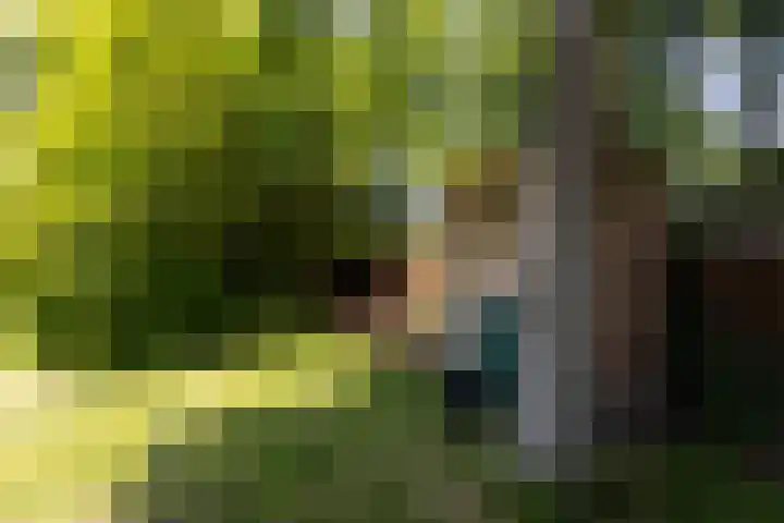 Hege Buorren 21 Minnertsga thumbnail 54