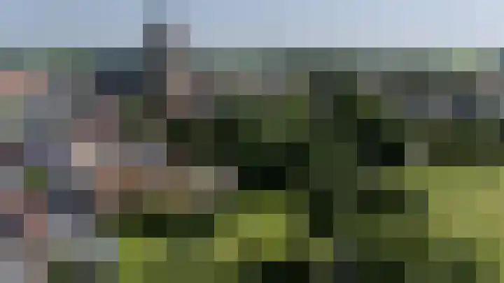 Hege Buorren 21 Minnertsga thumbnail 55