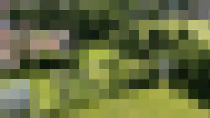 Hege Buorren 21 Minnertsga thumbnail 57