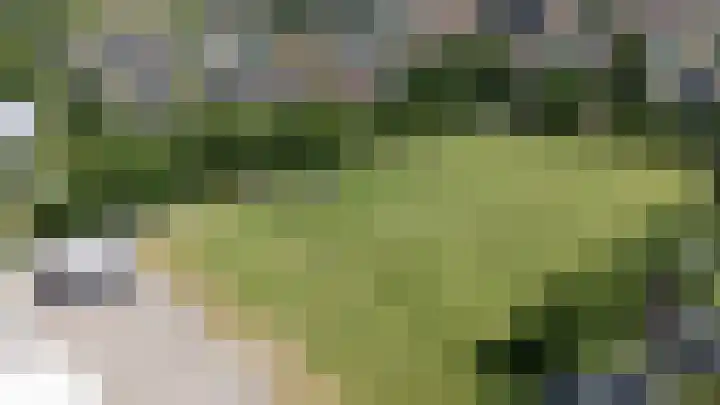 Hege Buorren 21 Minnertsga thumbnail 7