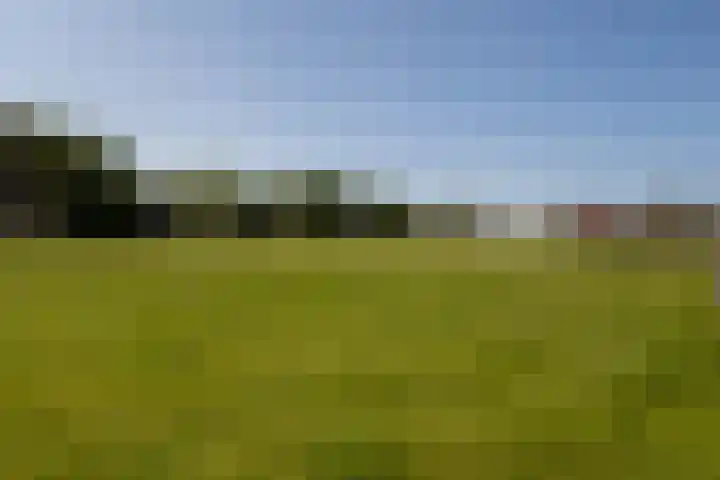 Hege Buorren 21 Minnertsga thumbnail 8