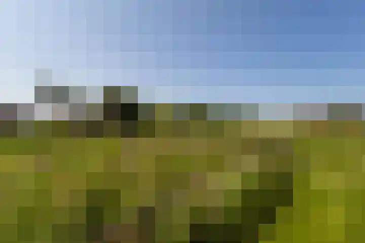 Hege Buorren 21 Minnertsga thumbnail 9