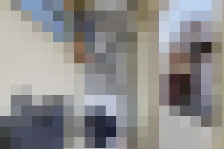 Hege Buorren 23 Minnertsga thumbnail 18