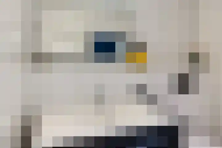 Hege Buorren 23 Minnertsga thumbnail 22
