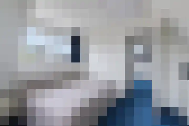 Hege Buorren 23 Minnertsga thumbnail 29
