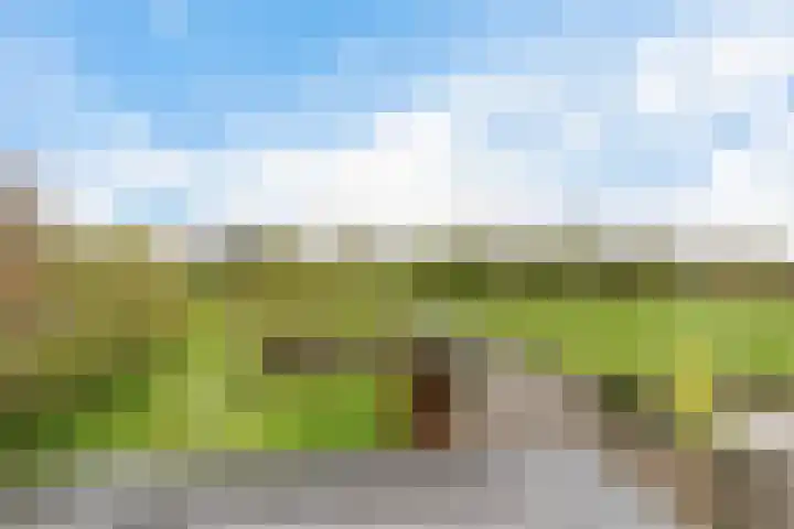 Hege Buorren 23 Minnertsga thumbnail 33