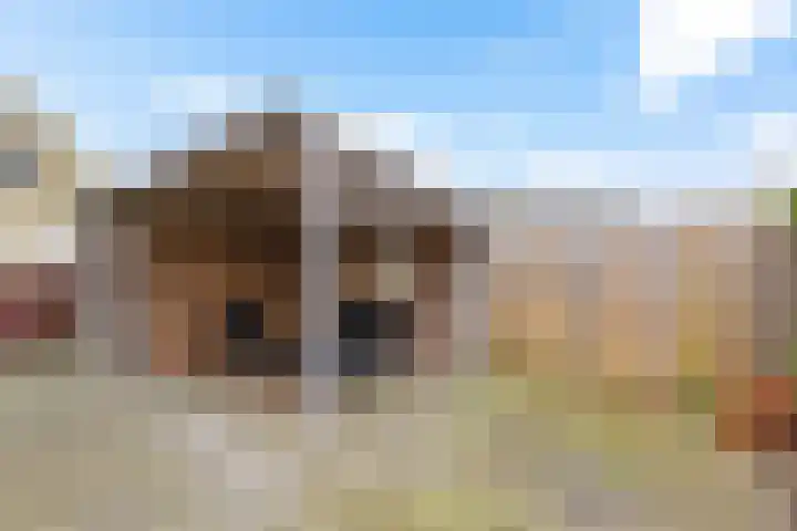 Hege Buorren 23 Minnertsga thumbnail 34