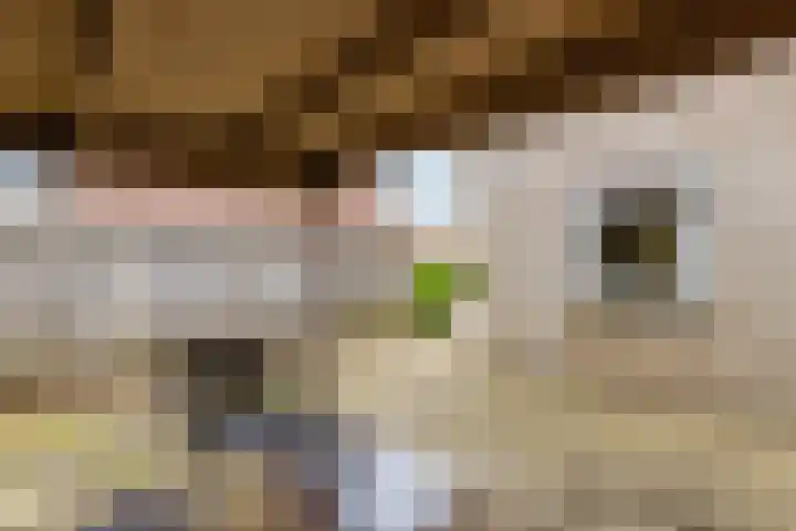 Hege Buorren 23 Minnertsga thumbnail 36