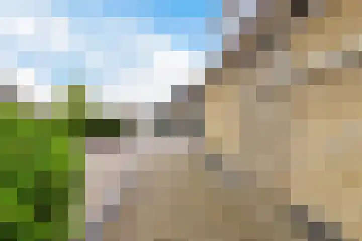 Hege Buorren 23 Minnertsga thumbnail 7