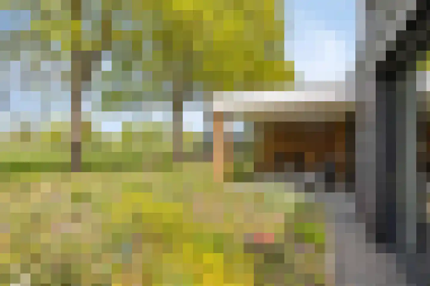 Hege Kamp 25 Ureterp thumbnail 32