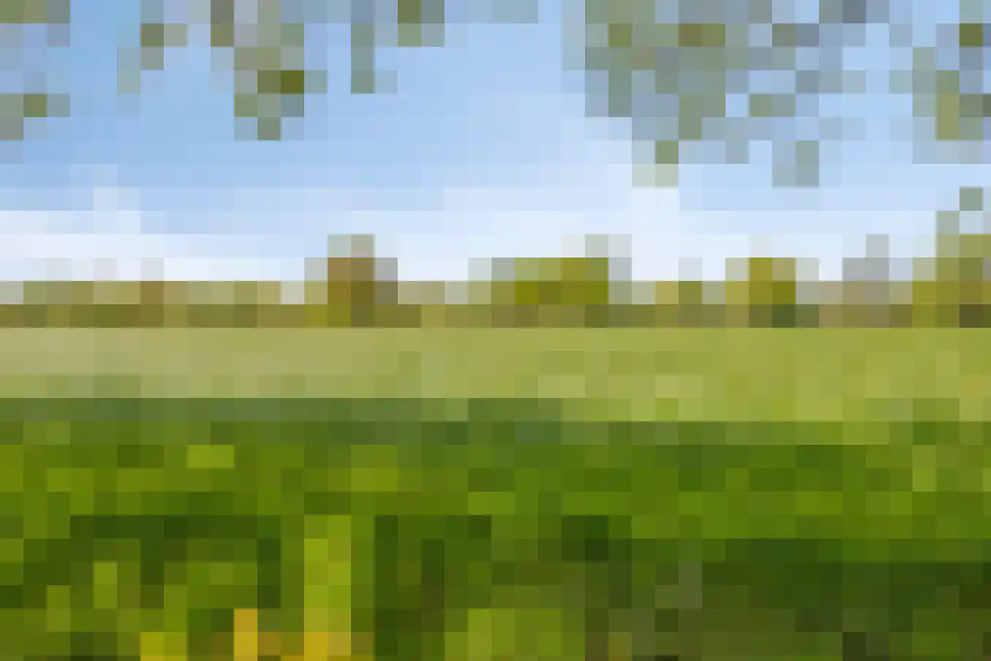 Hege Kamp 25 Ureterp thumbnail 37