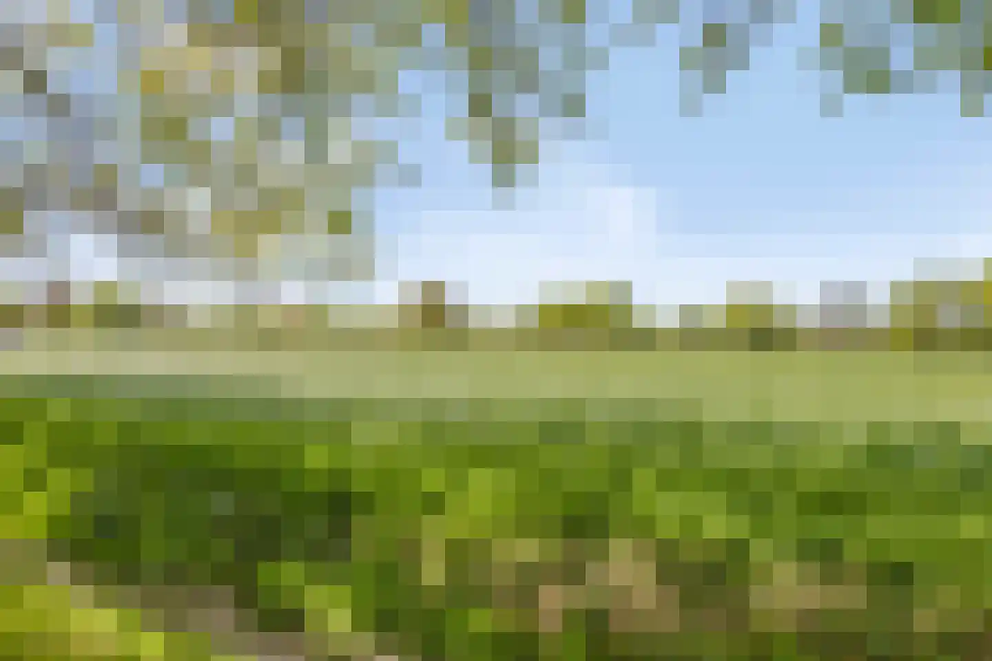 Hege Kamp 25 Ureterp thumbnail 39