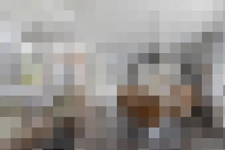 Hege Kamp 44 Ureterp thumbnail 27