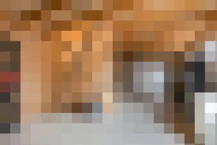 Hege Kamp 44 Ureterp thumbnail 45