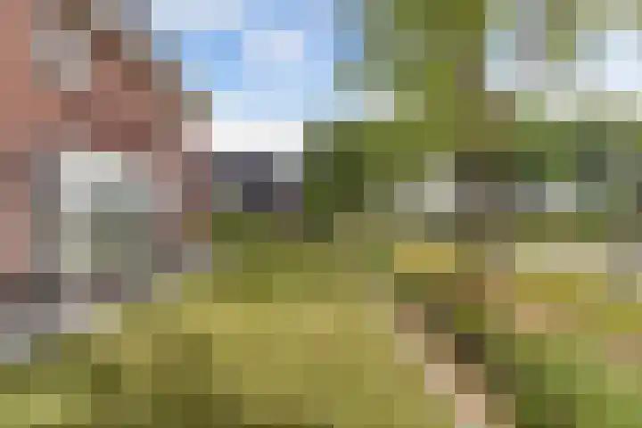 Hege Kamp 44 Ureterp thumbnail 48