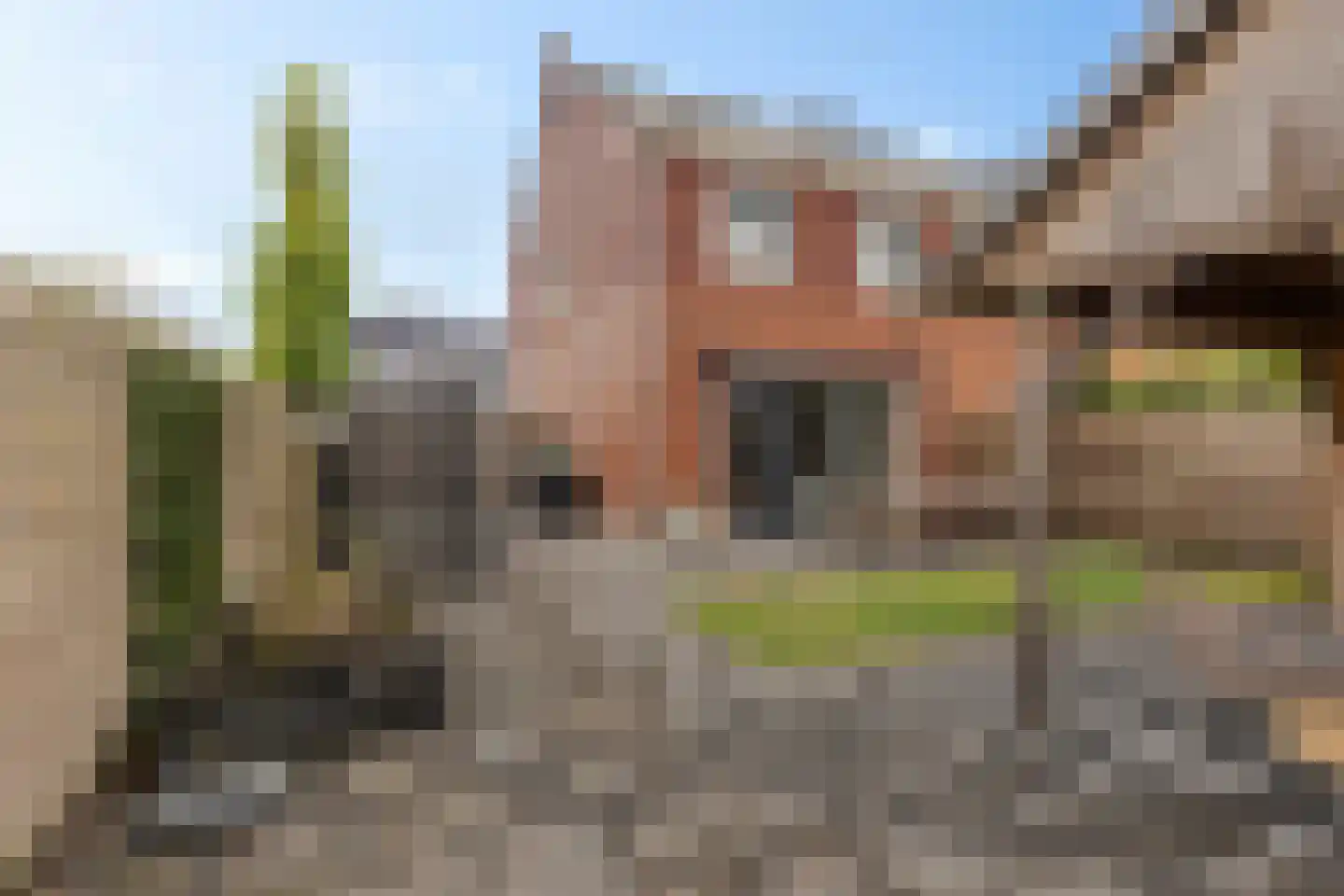 Hege Kamp 6 Ureterp thumbnail 35